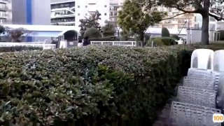 三级黄色片A级-免费在线观看-日韩中文字幕